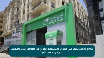 نتائج 2025.. تعرف على خطوات الاستعلام الفوري عن وظائف البريد المصري عبر الرابط المباشر